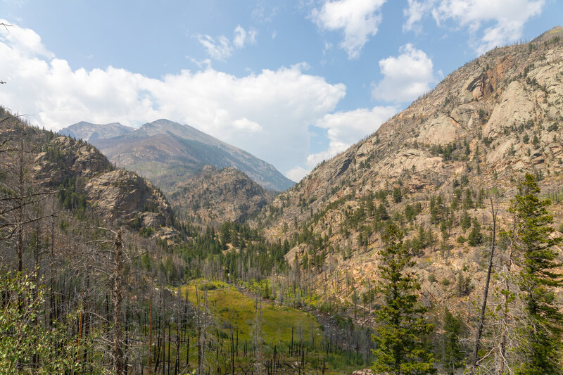 Looking up the valley to the west from Cub Lake Trail.