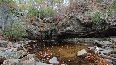 High Falls with little water.
