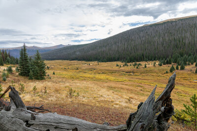 The valley broadens as you descend.