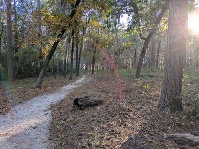 The trail winds through the estuary lowlands.