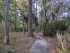 The trail winds under Spanish moss, through the estuary lowlands.