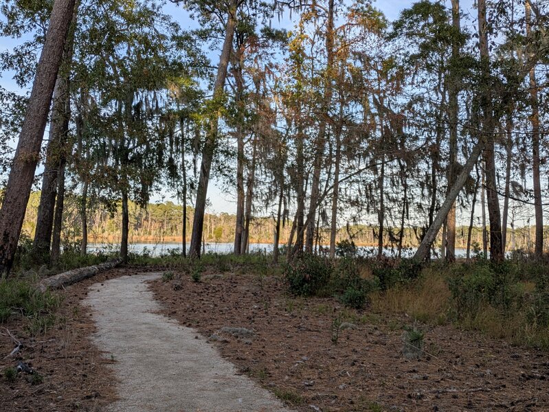 The estuary trail approaches the view over Goose Creek.