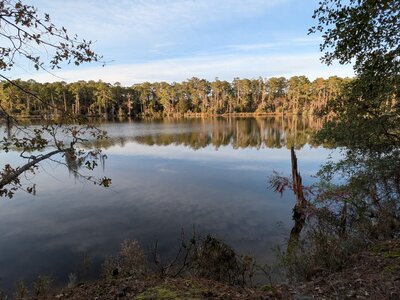 Look over quiet Goose Creek.