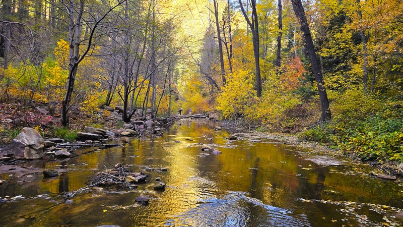 West Fork Trail