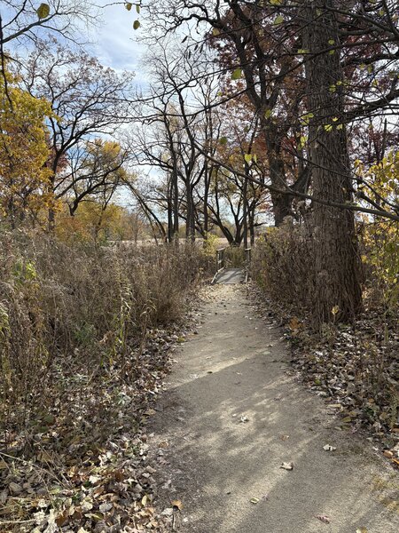 Trailhead just off parking area