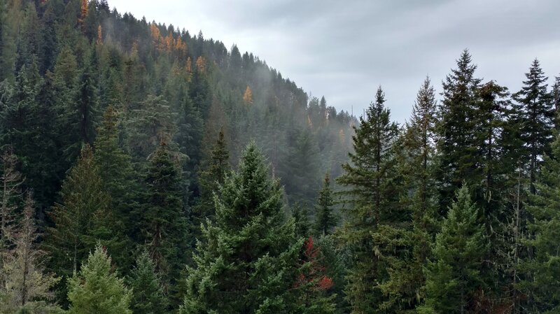 The clouds hang low in these deep, densely forested valleys.