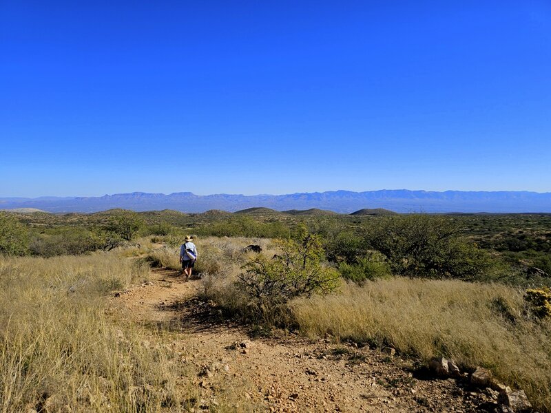 On the Wildlife Corridor Trail.