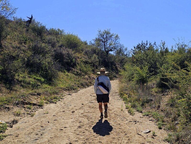 On the Firebreak Trail