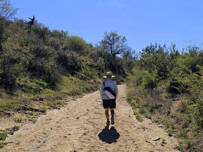 On the Firebreak Trail