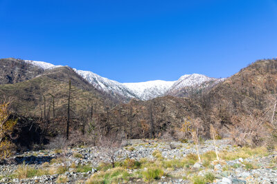 Snow covered Mount Baden-Powell from Vincent Gulch.