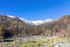 Snow covered Mount Baden-Powell from Vincent Gulch.