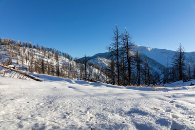 The last sunlight atop Blue Ridge at the junction of Acorn Trail and the PCT.