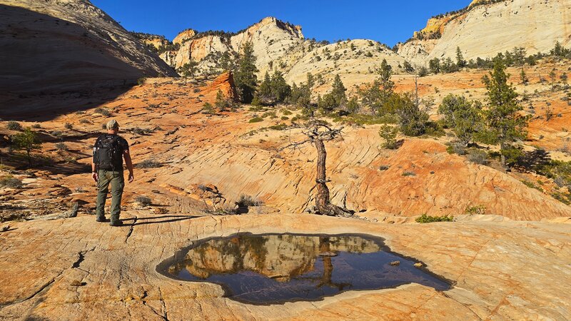 View of Jughandle Arch from Keyhole Canyon.