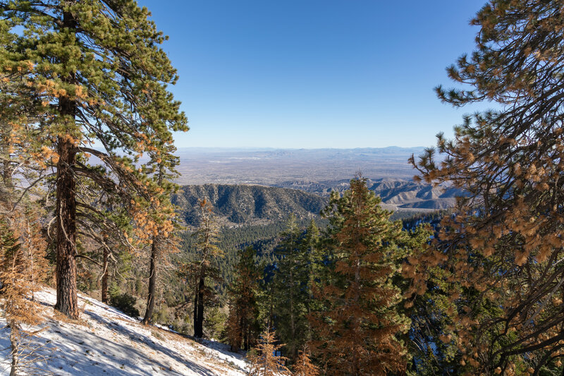 Snow and desert within close proximity.