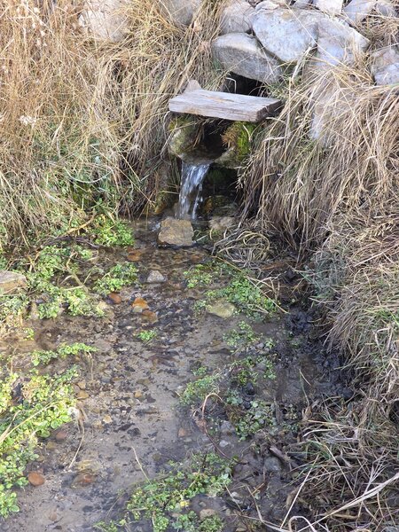 Alexander Springs. Flowing well Nov. 29th.