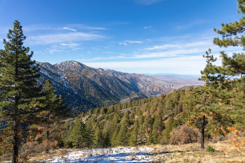 View along Big Rock Canyon