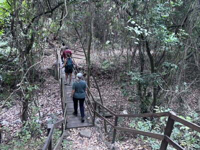Final bridge crossing, back near the start of the trail.