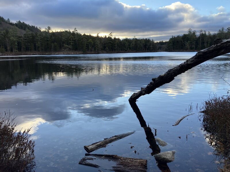 At the edge of Round Pond.