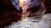 Buckskin Gulch