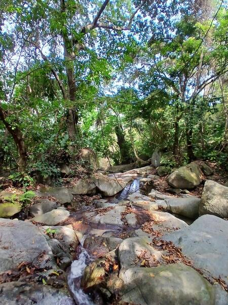 Pretty spot with rushing water