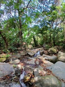 Pretty spot with rushing water