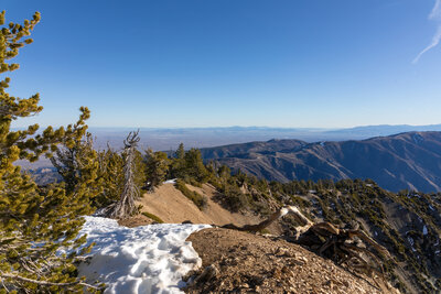 View towards Blue Ridge and the Mojave Desert from just below the summit of Mount Baden-Powell.