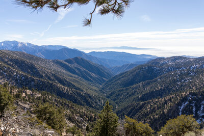 Iron Fork San Gabriel River drainage.