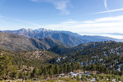 Snow covered Mount Baldy in the distance.