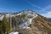 Looking back up the ridge to Mount Hawkins.