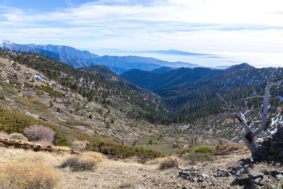 South Fork Iron Fork San Gabriel River drainage.