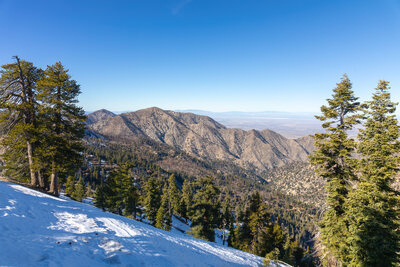 Mount Williamson from the snow covered northern side of the ridge east of Windy Gap.