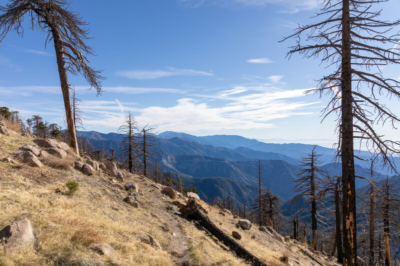 Mount Baldy looming in the distance.