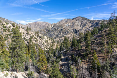 Pallet Mountain down Cooper Canyon.