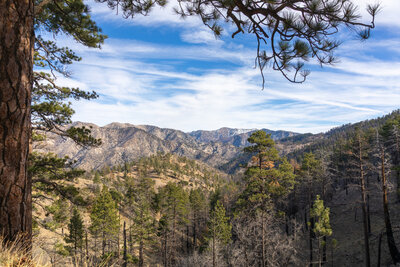 Snow covered Throop Peak in the distance.