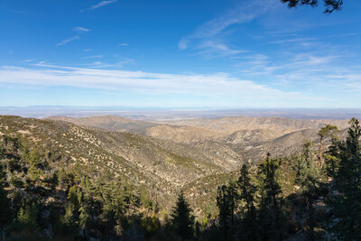 View down Santiago Canyon towards the Mojave Desert.