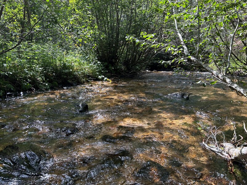 Rio Medio