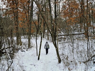 On the Woodland Trail near the 300 Campground