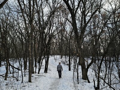 Almost to the junction with the Falls Snowshoe Trail