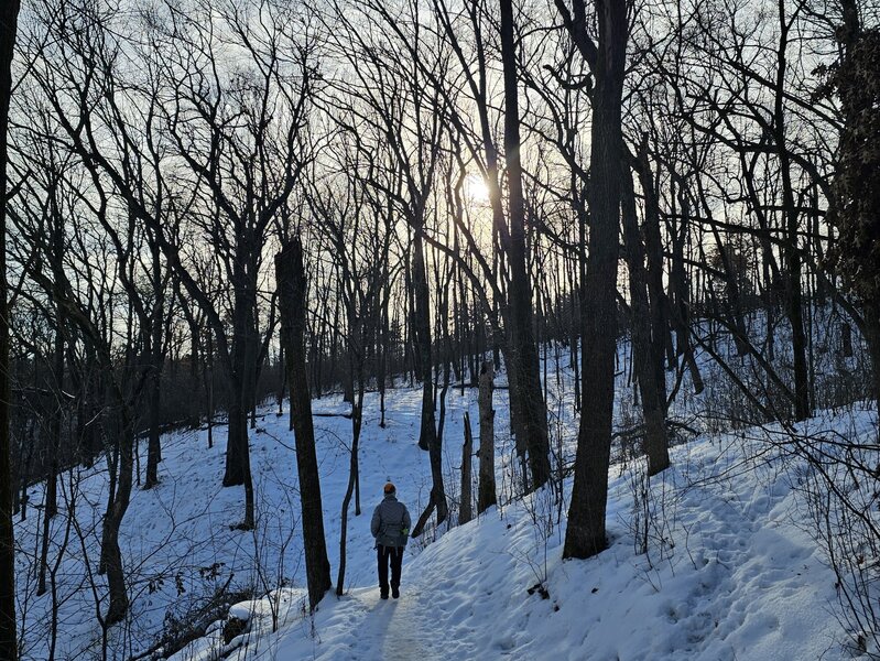 Morning of the Falls Snowshoe Trail.