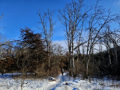 Approaching the multi-use trail and the end of the Falls Snowshoe Trail