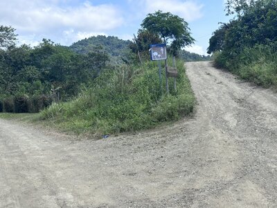 Head uphill to the right.