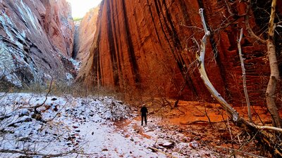 South Fork Taylor Creek