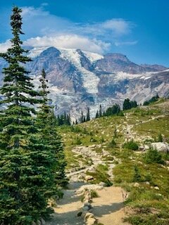 Skyline Trail Mount Rainier