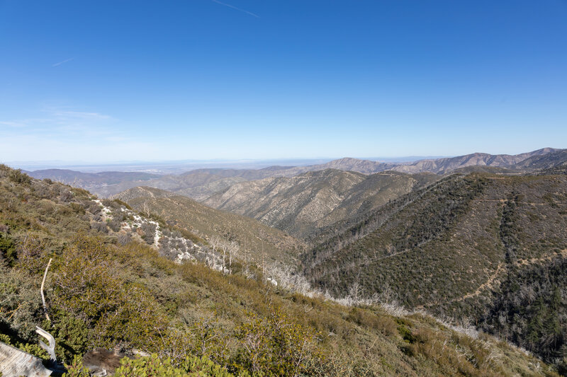 Gleason Canyon