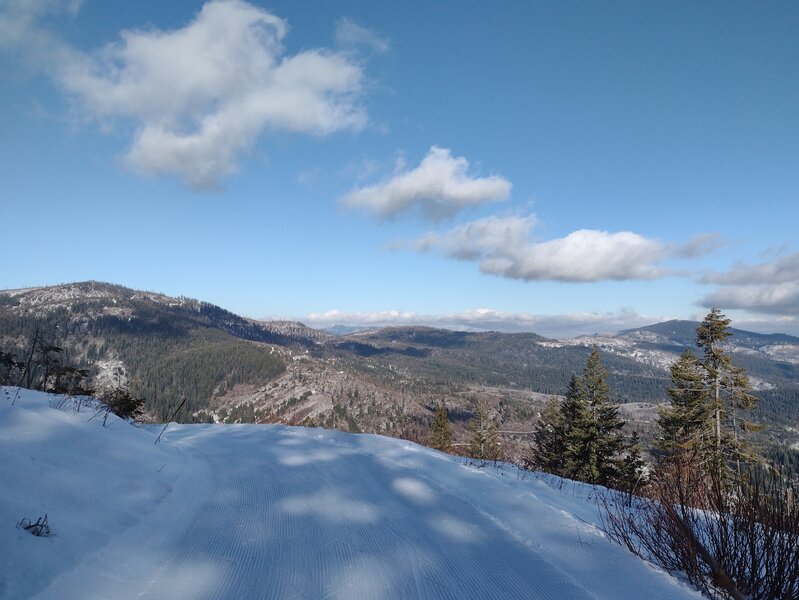View to the northeast from groomed trail near the top of Tripp's Knob.