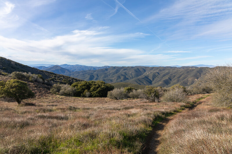 Descending into Bouquet Canyon.