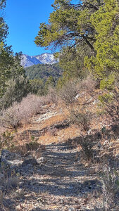 Heading up the trail