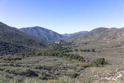 Dowd Canyon