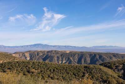 The Tehachapi Mountains in the distance.