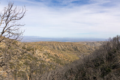 The burn scars from the 2020 Lake Fire.